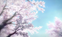 樱花动漫网,带你领略动漫世界的缤纷色彩